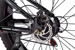 WALFISK 26“ Fat Tire BAFANG 750W Powerful Brushless Motor 22.5AH Large Capacity Battery WF26