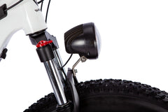 WALFISK 26“ Fat Tire BAFANG 750W Powerful Brushless Motor 22.5AH Large Capacity Battery WF26