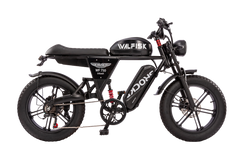 WALFISK WF750 URBANX Fat Tire Electric Bike 48V 750W 35Ah Battery Up to 28MPH