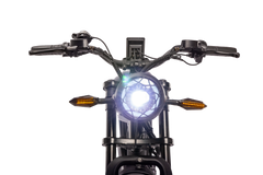 WALFISK WF750 URBANX Fat Tire Electric Bike 48V 750W 35Ah Battery Up to 28MPH