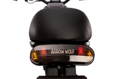 WALFISK WF750 URBANX Fat Tire Electric Bike 48V 750W 35Ah Battery Up to 28MPH