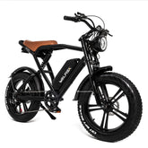 WALFISK VIPERA 20“ Fat Tire Electric Bike With 1000W Motor 48V 17.5Ah Battery