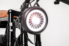 WALFISK VIPERA 20“ Fat Tire Electric Bike With 1000W Motor 48V 17.5Ah Battery