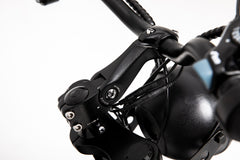 WALFISK VIPERA 20“ Fat Tire Electric Bike With 1000W Motor 48V 17.5Ah Battery