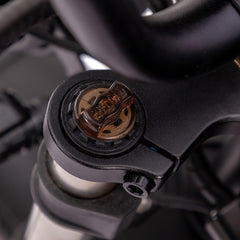 WALFISK Electric bike ET-7 3000W Brushless Motor 60V45AH Big Battery Black Warrior Ebike Full suspension 50MPH 100miles（Free Rear Cushion）