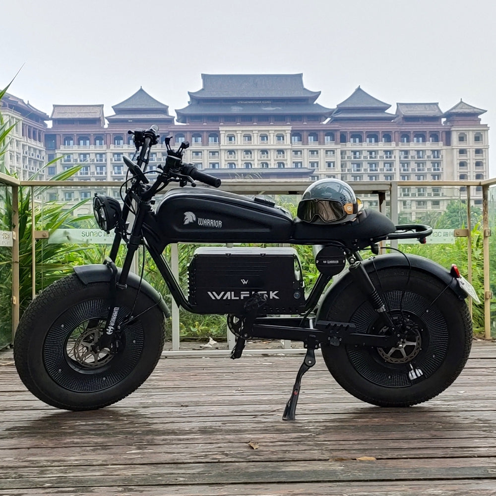 WALFISK Elelctric Bike BLACK WARRIOR 1500W Brushless Motor 30/60AH Big Battery Ebike  Full suspension 40MPH 100miles（Free Rear Cushion,From USA）