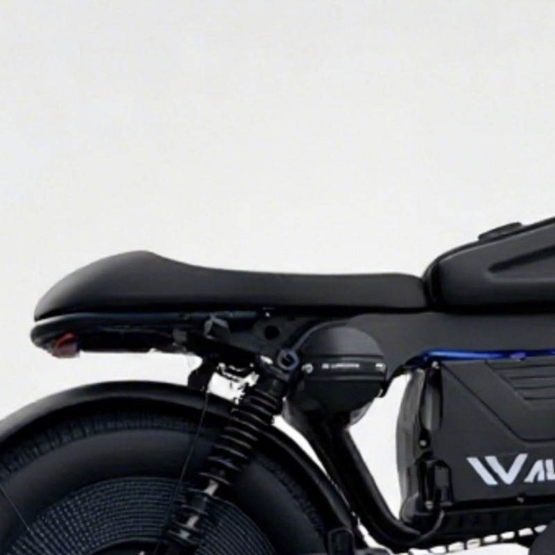 WALFISK ET-7 Electric Bicycle Integrated longer Seat for black warrior(Customized product do not support return)
