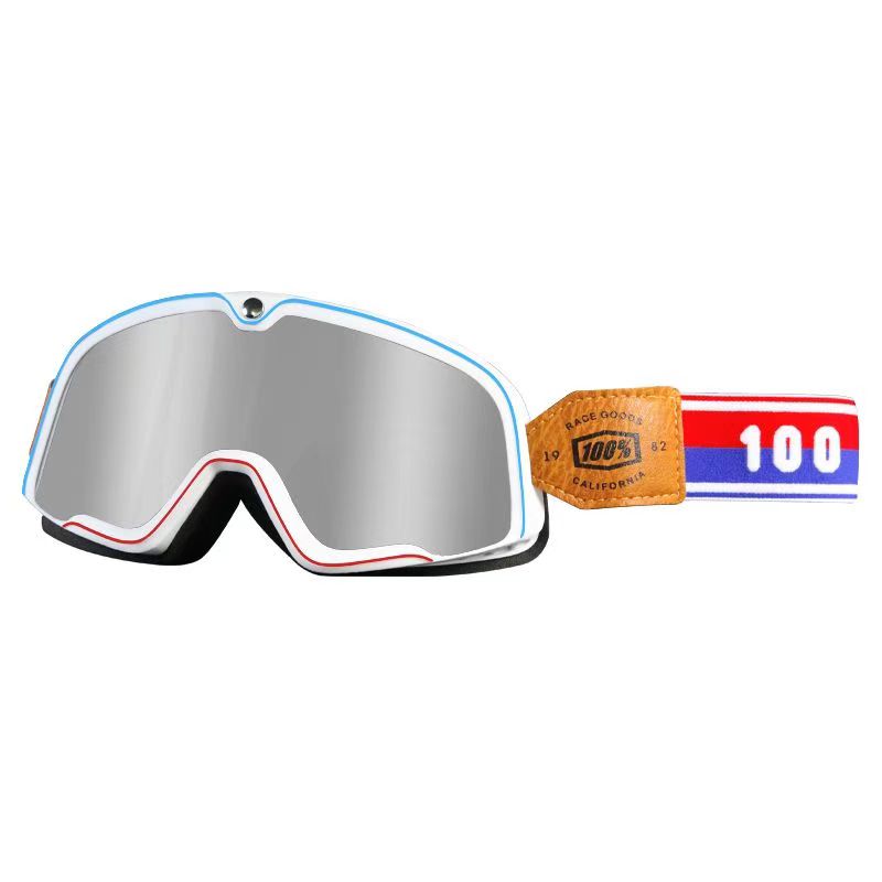 WALFISK Electric Bike Motorcycle Goggles