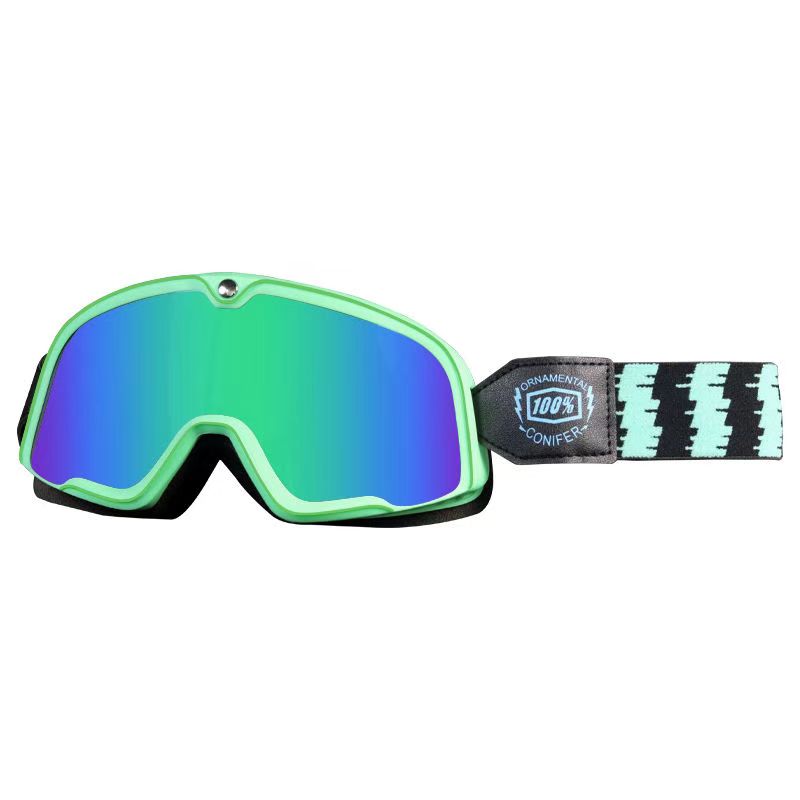 WALFISK Electric Bike Motorcycle Goggles