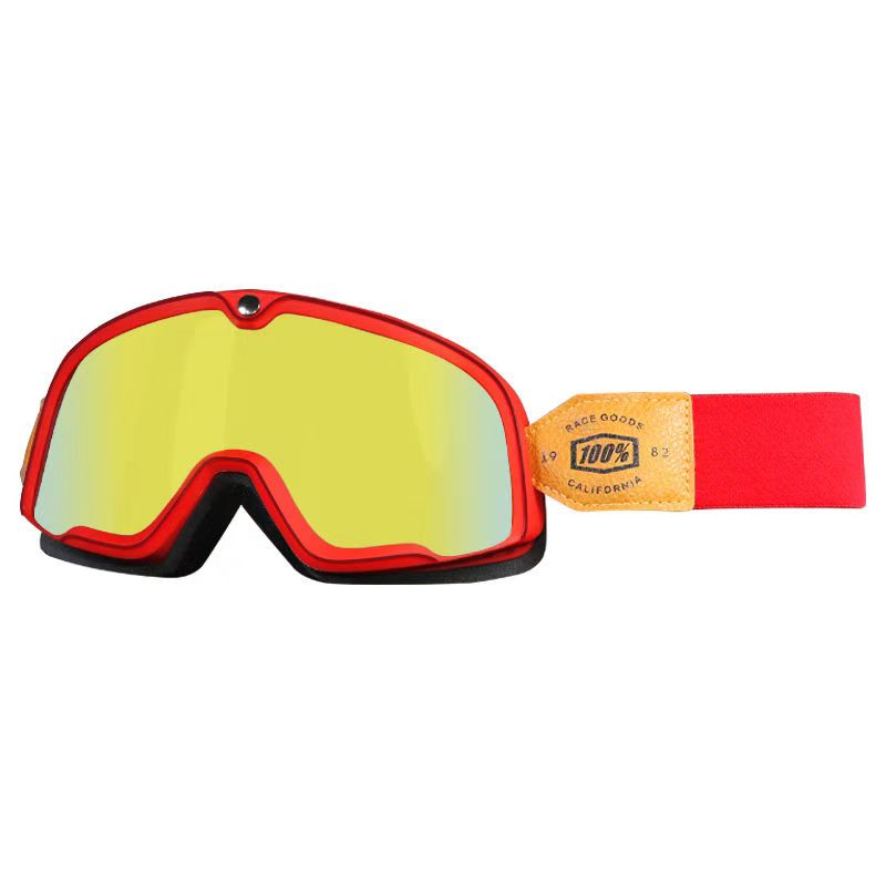 WALFISK Electric Bike Motorcycle Goggles