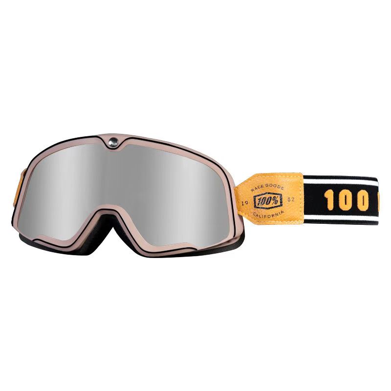 WALFISK Electric Bike Motorcycle Goggles