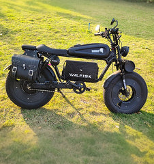 WALFISK Electric bike ET-7 3000W Brushless Motor 60V45AH Big Battery Black Warrior Ebike Full suspension 50MPH 100miles（Free Rear Cushion）