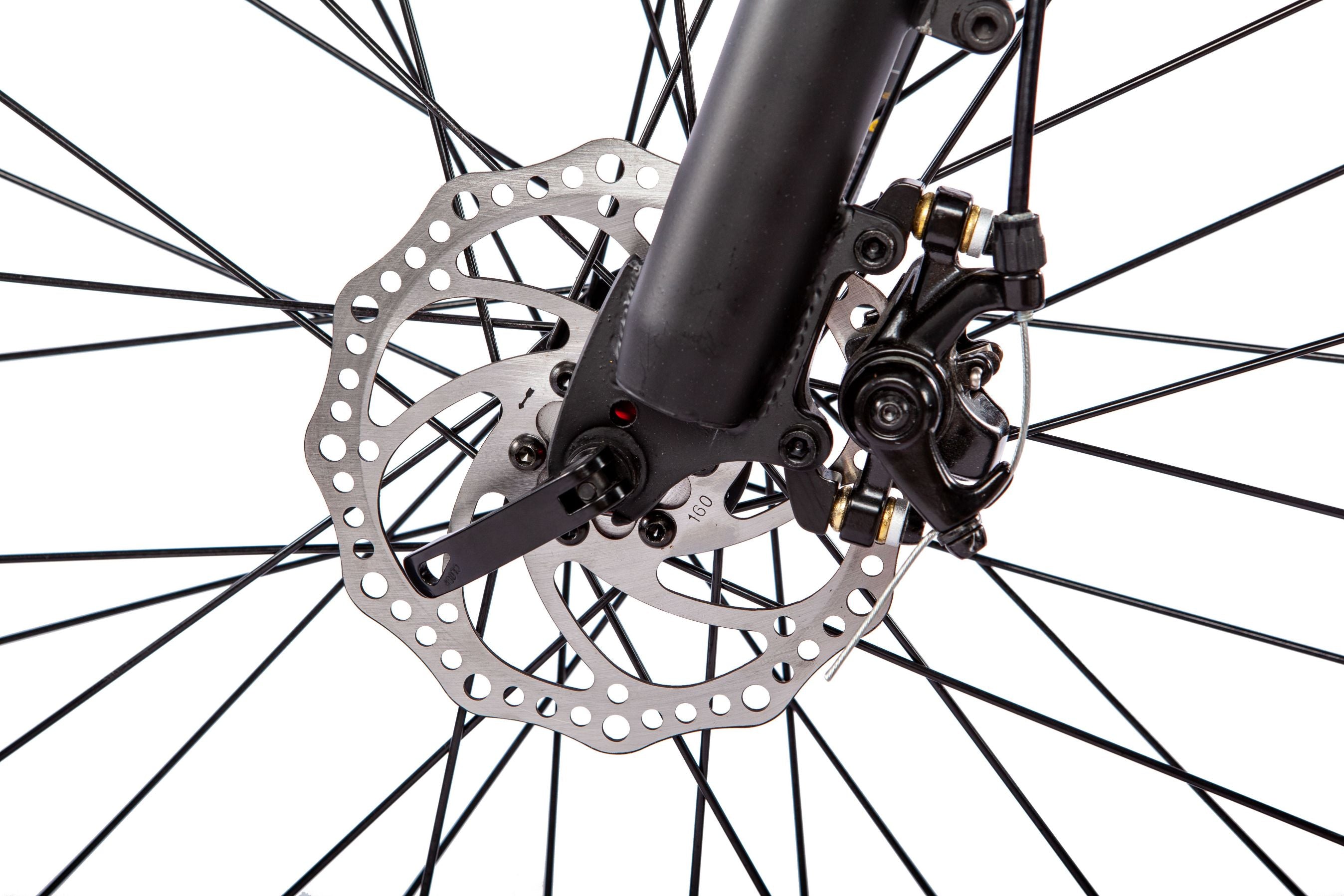 WALFISK 26“ Fat Tire BAFANG 750W Powerful Brushless Motor 22.5AH Large Capacity Battery WF26